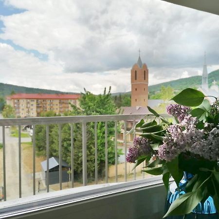 Apartament Gromadzyn 39 Ustrzyki Dolne Exterior foto